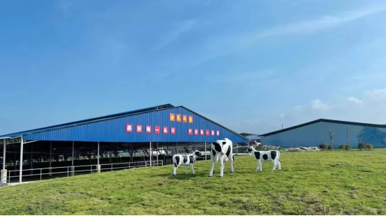 奶源建設(shè)再提速！田東縣皇氏奶業(yè)示范區(qū)正式投產(chǎn)！